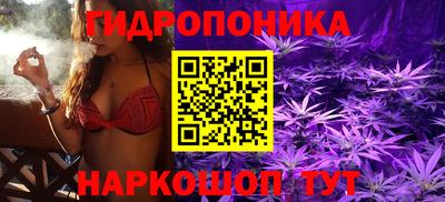 а пвп мука Бийск