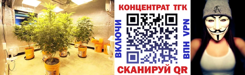 даркнет как зайти  продажа наркотиков  Грязи  Дистиллят ТГК гашишное масло 