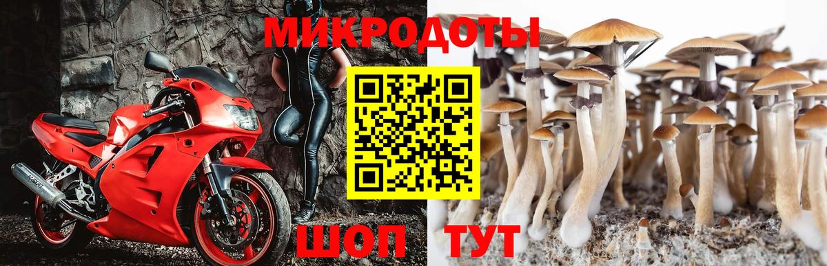 закладки  Галлюциногенные грибы Cubensis  Вход с VPN  Грязи  Галлюциногенные грибы GOLDEN TEACHER 