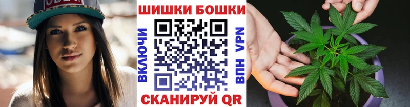 Конопля сатива  купить наркотики сайты  Грязи 